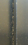 DoereBeskidtWebL