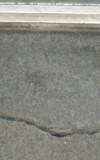Trin2WebL